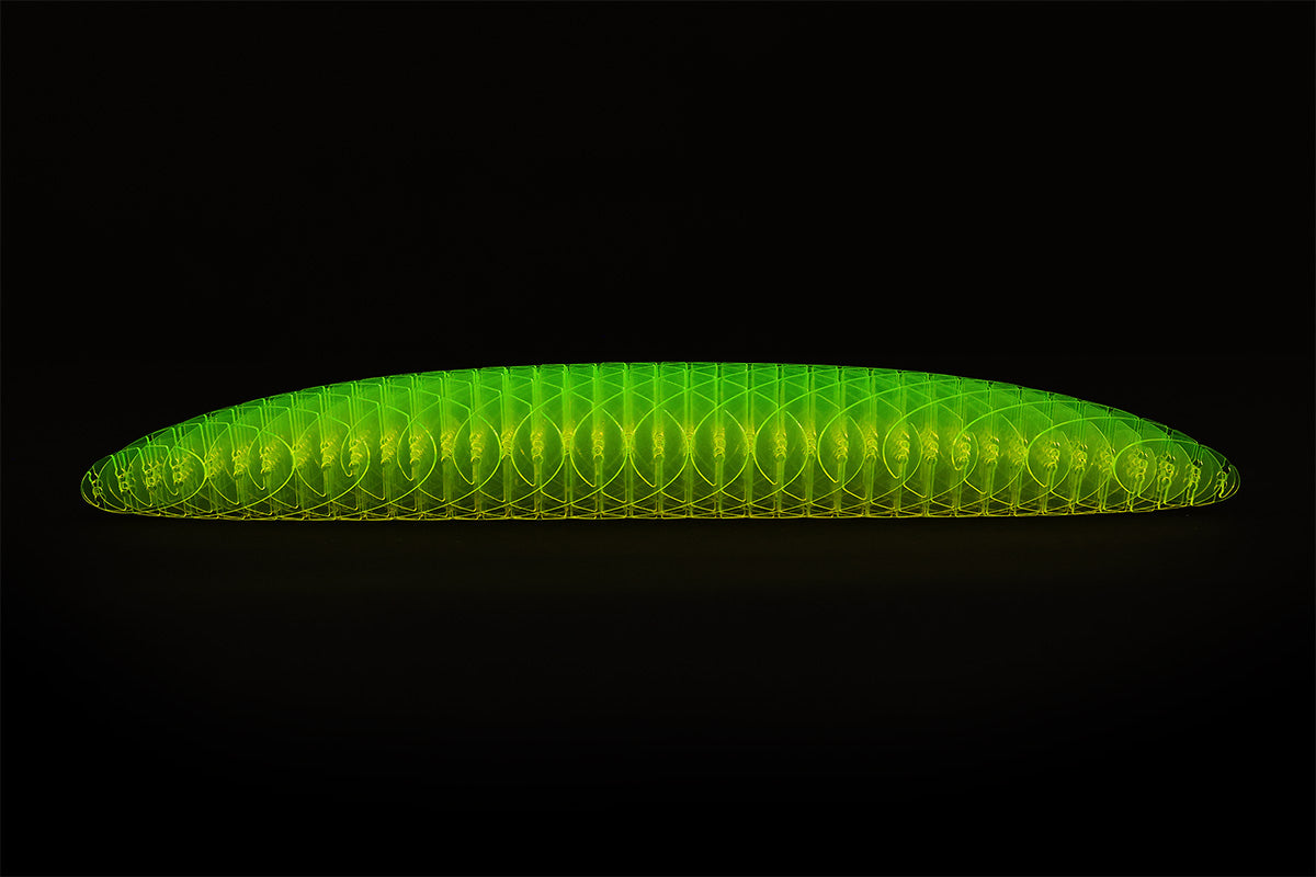 Green worm toy on sale